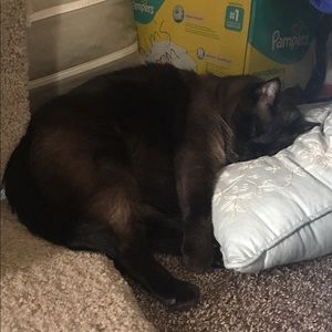 Meet your Posher, Kimberly